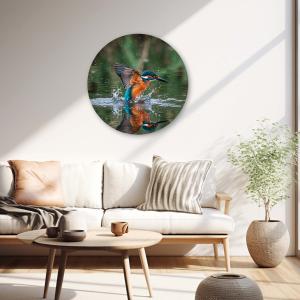 Muurcirkel Watervogel