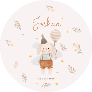 Muurcirkel Konijntje • ook te bestellen met naam / geboortedatum