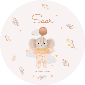 Muurcirkel Olifantje • ook te bestellen met naam / geboortedatum