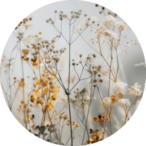 Muurcirkel Natuurtinten droogbloemen takken